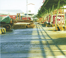 1994�N�@�k�C���������n�k�i�n�Չ��ǌ�j�x���g�R���x�A�̊�b�n��